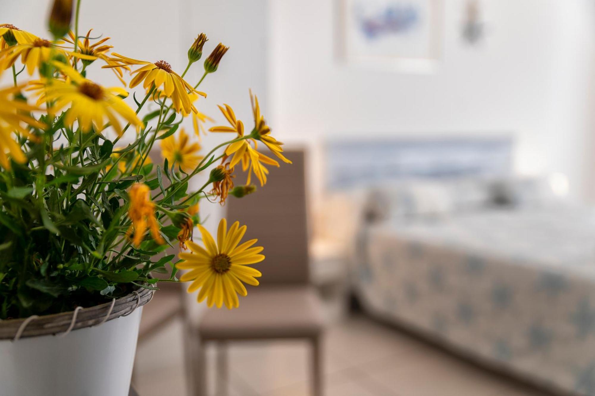 Horizon Bed & Breakfast Alghero Luaran gambar